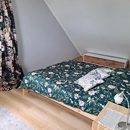 Apartmán Jelonek Jelení Hora