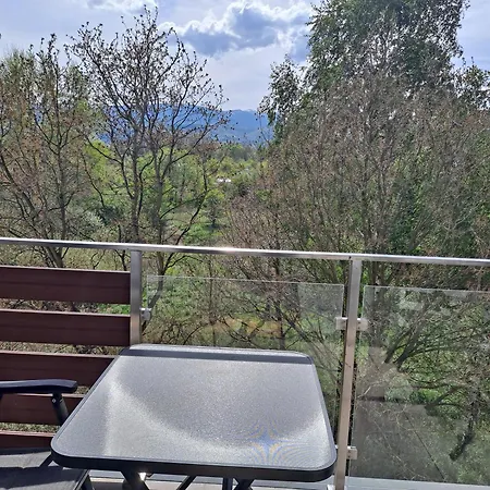 Jelonek * Jelenia Góra